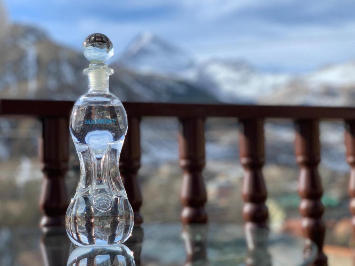 Come & Rest Kazbegi Dış mekan fotoğraf